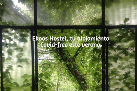 ok-Ekooshostel-covidfree-turismo-vacaciones-posconfinamiento